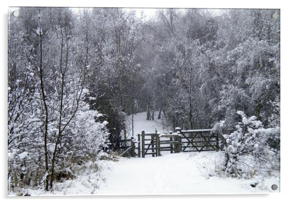 Snowy Gate in Fairburn, North Yorkshire Acrylic by Phil Clarkson