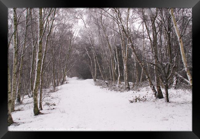 Snowy Path in Fairburn, North Yorkshire Framed Print by Phil Clarkson