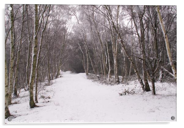 Snowy Path in Fairburn, North Yorkshire Acrylic by Phil Clarkson