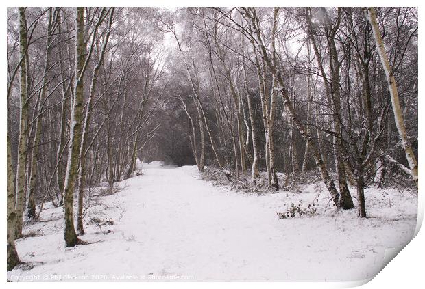 Snowy Path in Fairburn, North Yorkshire Print by Phil Clarkson