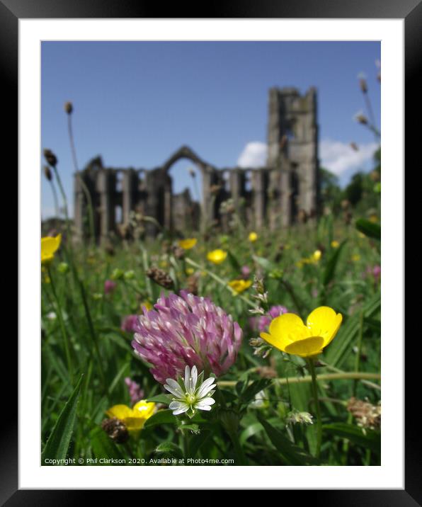 Fountain's Abbey Framed Mounted Print by Phil Clarkson