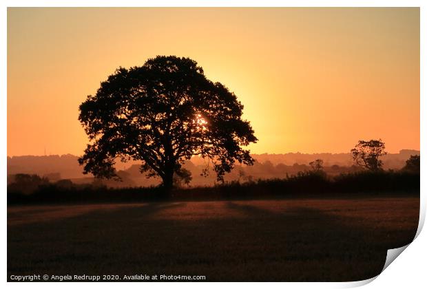 Sunrise through the tree Print by Angela Redrupp