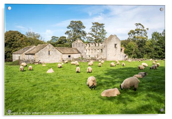 Sheep Grazing, Castleton Acrylic by Martyn Williams