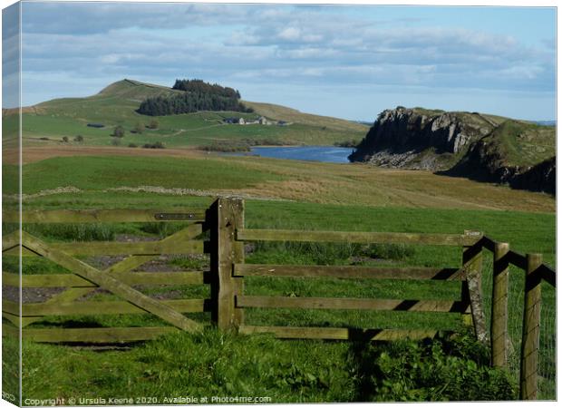 View of Hadrian’s Wall at Steel Rigg & Crag Lough. Canvas Print by Ursula Keene