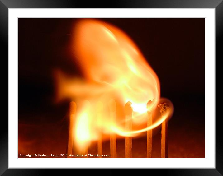 Spark of Life Framed Mounted Print by Graham Taylor