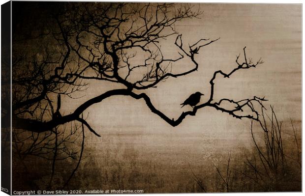Crow Canvas Print by Dave Sibley