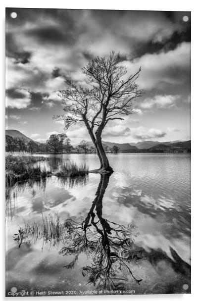 Reflected Tree at Ullswater Lake Acrylic by Heidi Stewart