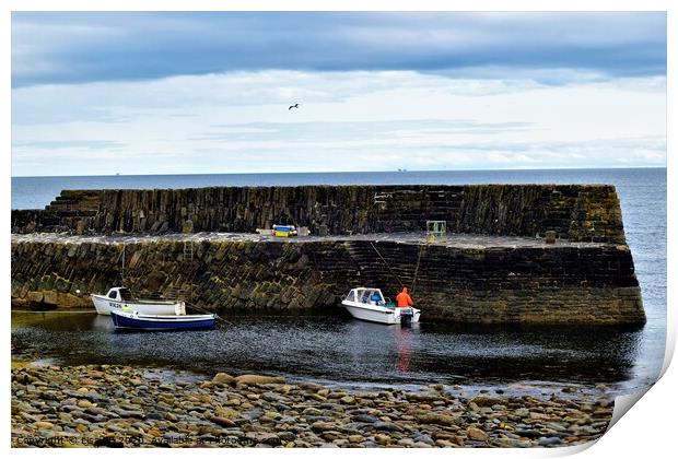 Harbour Boats Print by Lisa PB