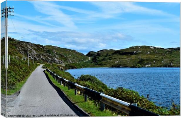 Lakeside Road Canvas Print by Lisa PB