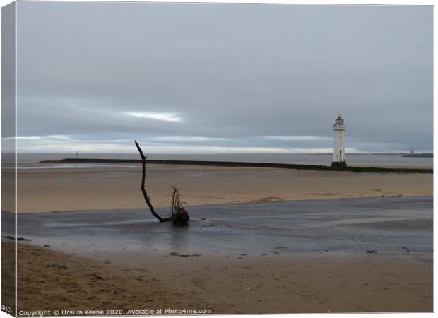 Mouth of the River Mersey in January Liverpool  Canvas Print by Ursula Keene