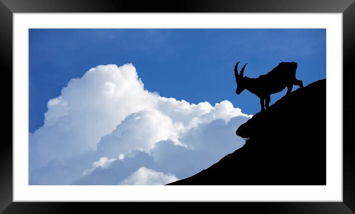 Silhouette of Alpine Ibex Framed Mounted Print by Arterra 