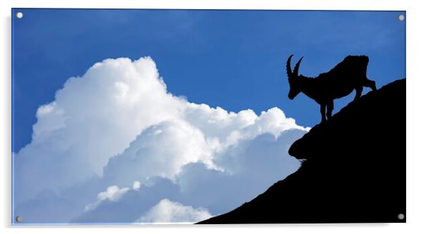 Silhouette of Alpine Ibex Acrylic by Arterra 