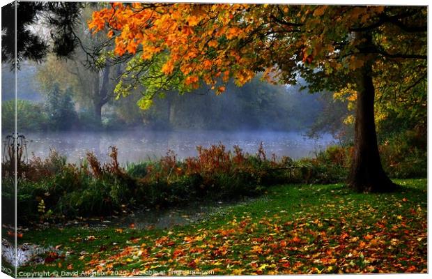 Autumn Mist Canvas Print by David Atkinson
