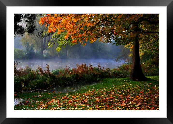 Autumn Mist Framed Mounted Print by David Atkinson