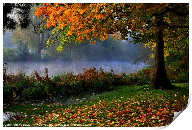 Autumn Mist Print by David Atkinson