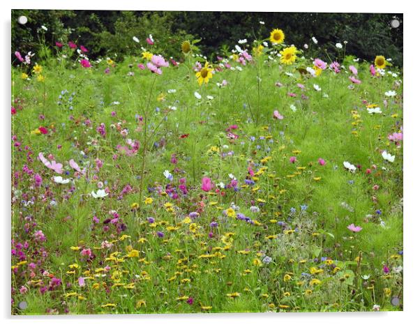 Wild Flower Meadow Acrylic by Pauline Raine