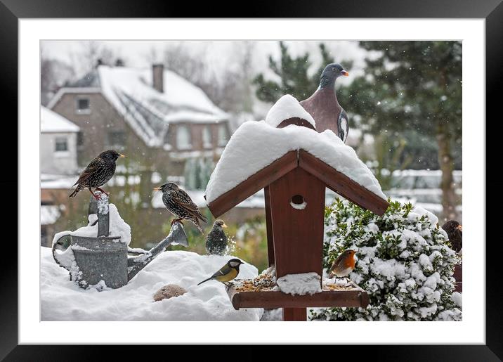 Bird Feeder in the Snow in Winter Framed Mounted Print by Arterra 