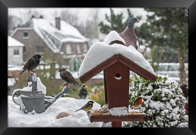 Bird Feeder in the Snow in Winter Framed Print by Arterra 