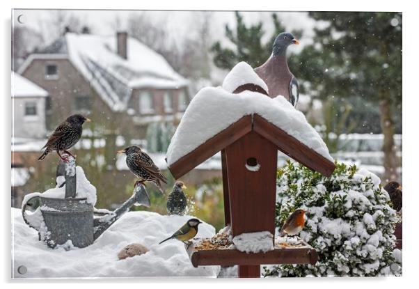 Bird Feeder in the Snow in Winter Acrylic by Arterra 