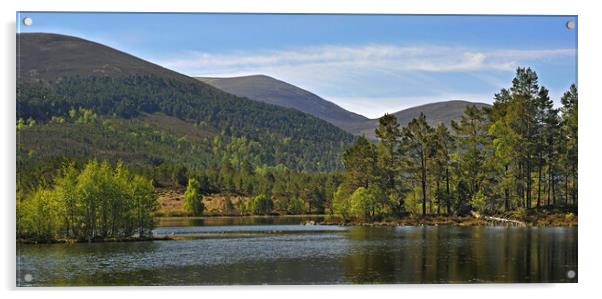 Loch Gamha in Rothiemurchus, Scotland Acrylic by Arterra 