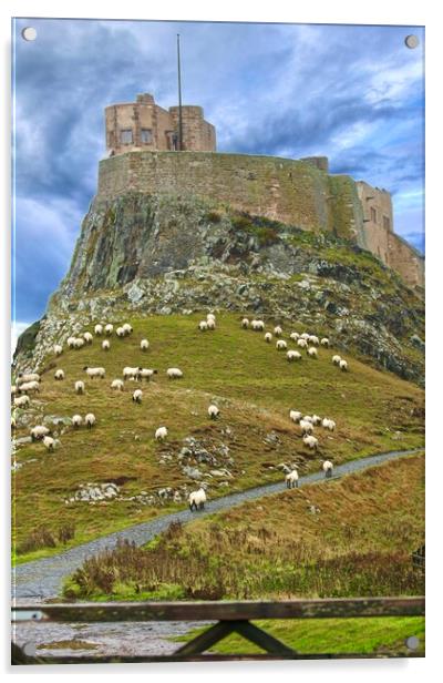 Lindisfarne Castle Holy Island Northumberland Acrylic by David Thompson