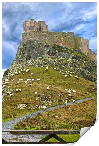 Lindisfarne Castle Holy Island Northumberland Print by David Thompson
