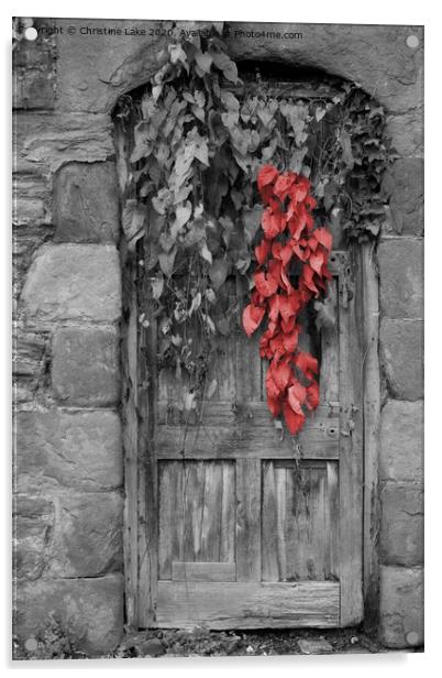 The Secret Door Acrylic by Christine Lake