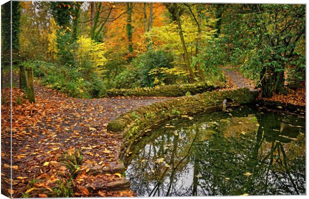 Ninesprings Country Park Canvas Print by Darren Galpin