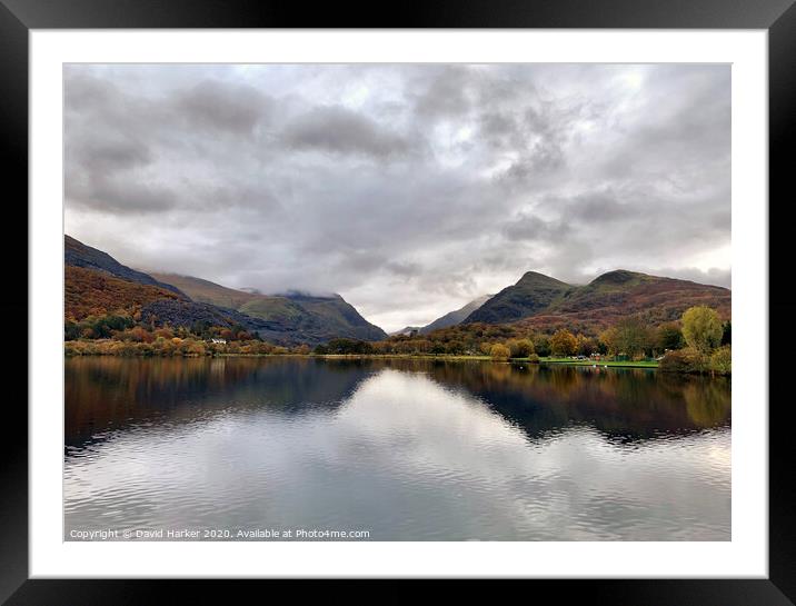 Outdoor  Framed Mounted Print by David Harker