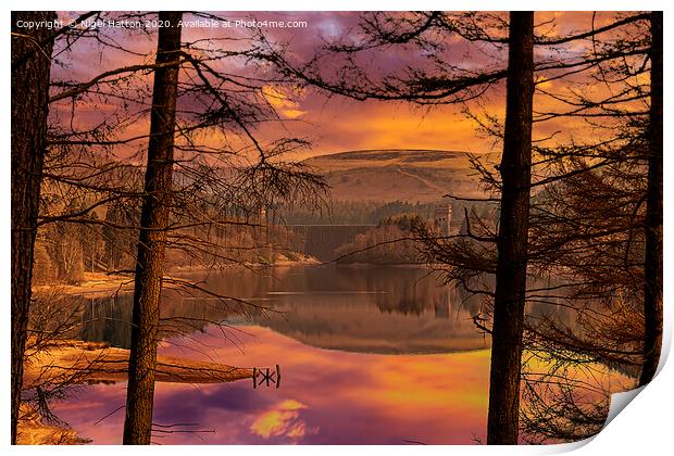 Howden Through The Trees Print by Nigel Hatton