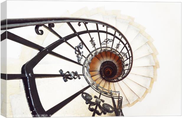 Spiral Staircase Canvas Print by Efraim Gal