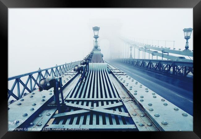 Chain Bridge Budapest Framed Print by Efraim Gal