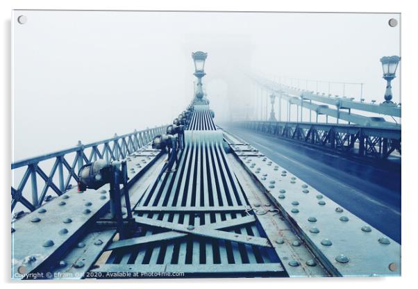 Chain Bridge Budapest Acrylic by Efraim Gal