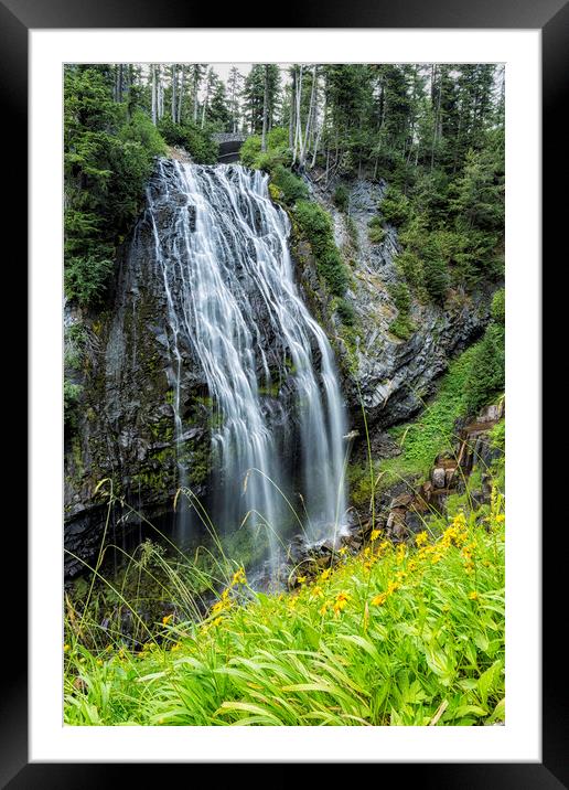 Narada Falls and Wildflowers Framed Mounted Print by Belinda Greb