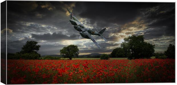 Mosquito Over Poppy Fields Canvas Print by David Tyrer