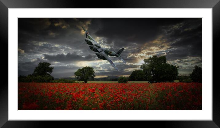Mosquito Over Poppy Fields Framed Mounted Print by David Tyrer