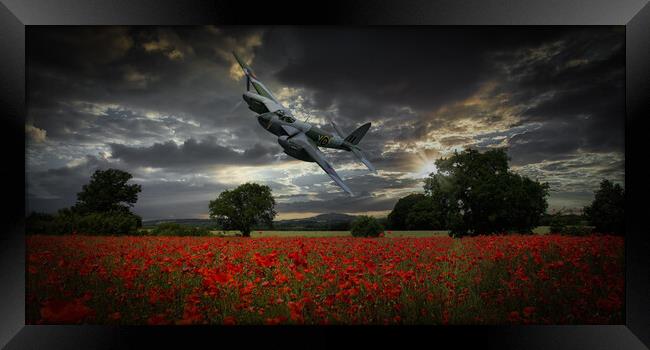 Mosquito Over Poppy Fields Framed Print by David Tyrer
