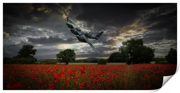 Mosquito Over Poppy Fields Print by David Tyrer