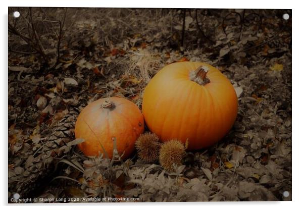 Autumn Harvest Acrylic by Photography by Sharon Long 