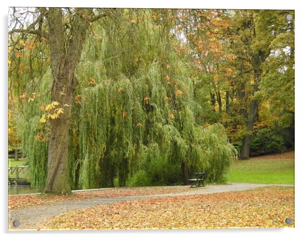 Willow Tree in Autumn Acrylic by Pauline Raine