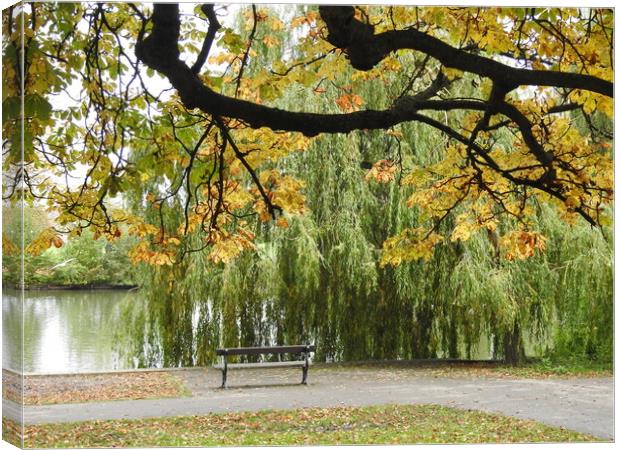 Bench by the Lake Canvas Print by Pauline Raine