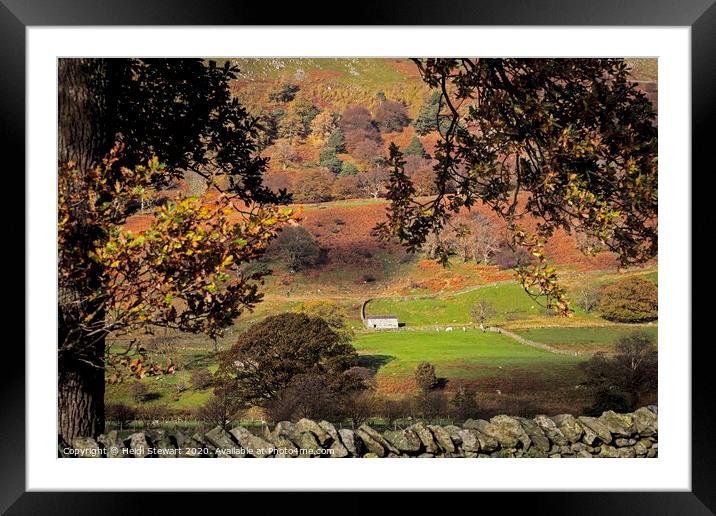 Old Barn in Autumn  Framed Mounted Print by Heidi Stewart