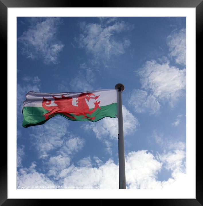 Red Dragon Welsh Flag Fluttering in the Breeze Framed Mounted Print by HELEN PARKER