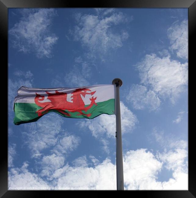 Red Dragon Welsh Flag Fluttering in the Breeze Framed Print by HELEN PARKER