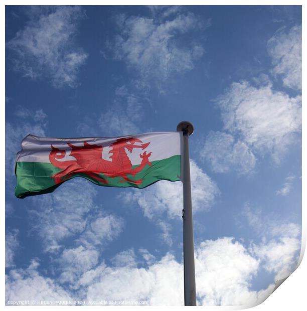 Red Dragon Welsh Flag Fluttering in the Breeze Print by HELEN PARKER