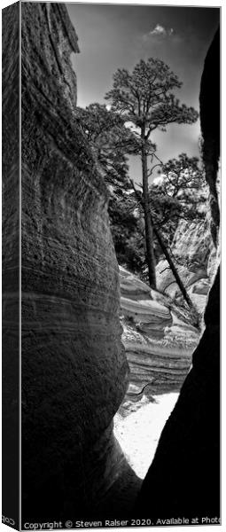 Tent Rocks 8, New Mexico, USA  Canvas Print by Steven Ralser