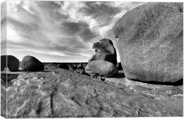 Remarkable Rocks Canvas Print by Carole-Anne Fooks