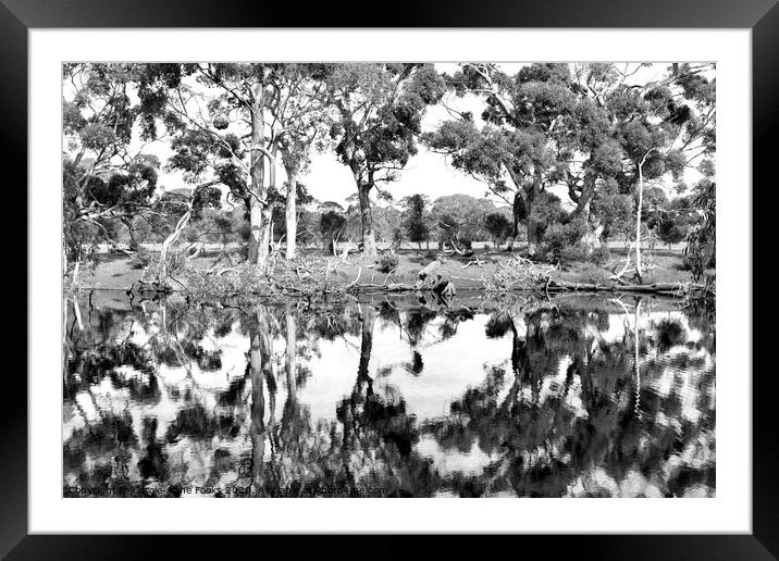 Duck Lagoon Reflections Framed Mounted Print by Carole-Anne Fooks