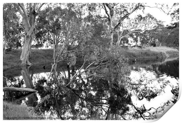 Duck Lagoon Reflections Print by Carole-Anne Fooks