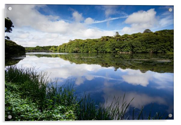 Bosherton Reflections Acrylic by Paddy Art